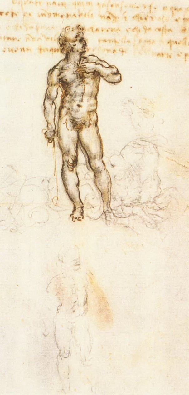 53-Studio del Davide di Michelangelo-Royal Library, Windsor
